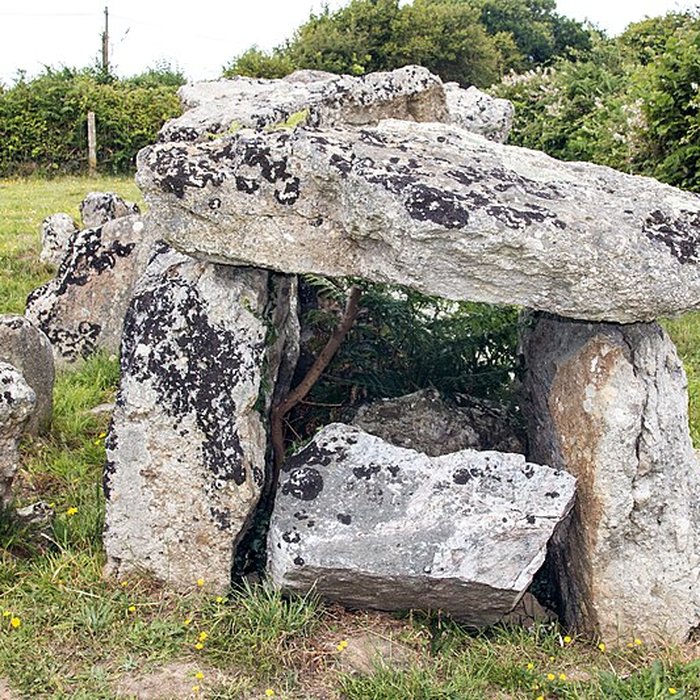 Photo de Autel des druides des Moitiers-dAllonne