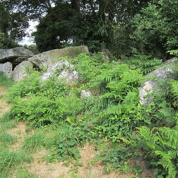 Autel des druides des Moitiers-dAllonne