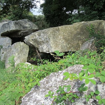 Autel des druides des Moitiers-dAllonne