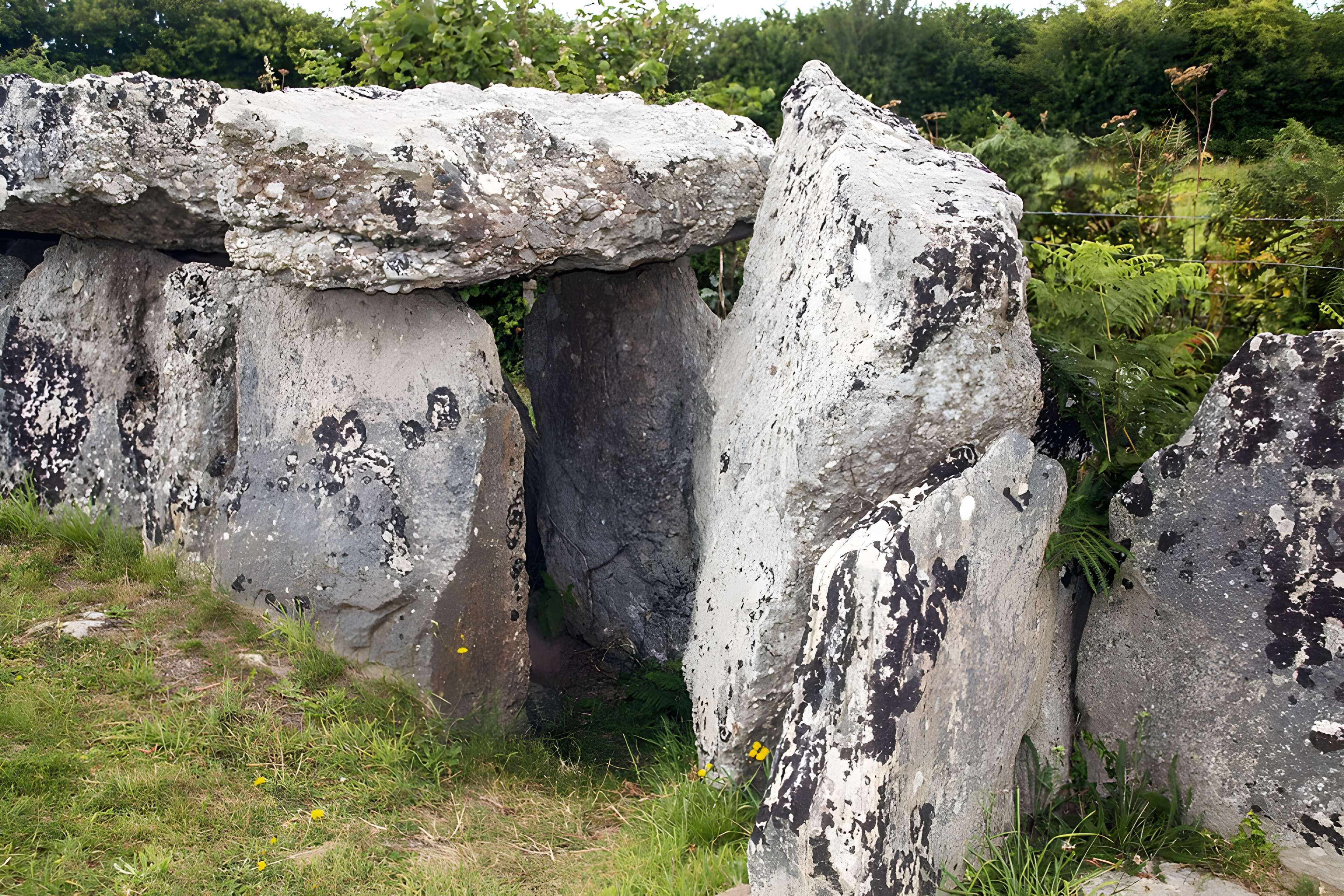 Autel des druides des Moitiers-d'Allonne
