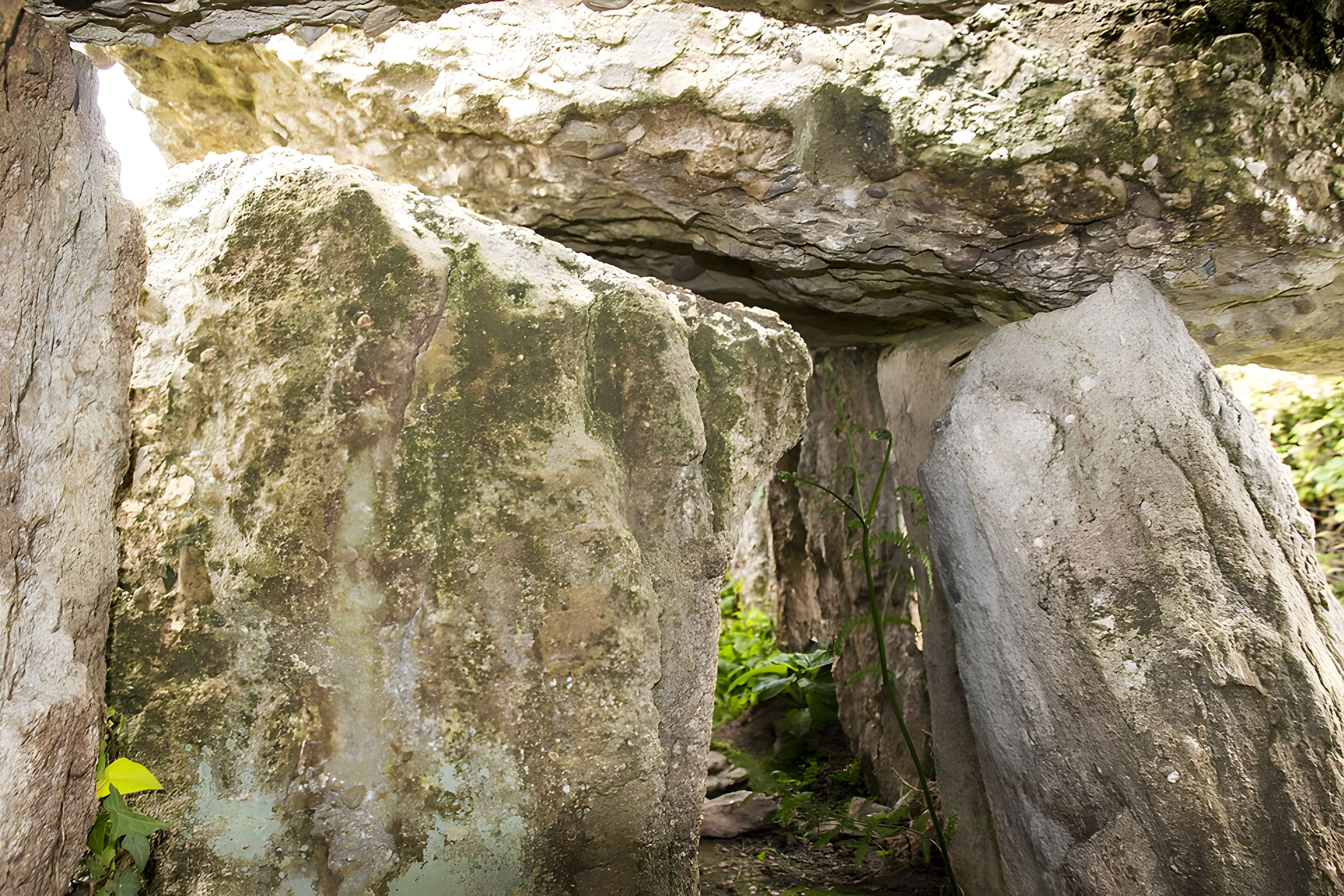 Autel des druides des Moitiers-d'Allonne
