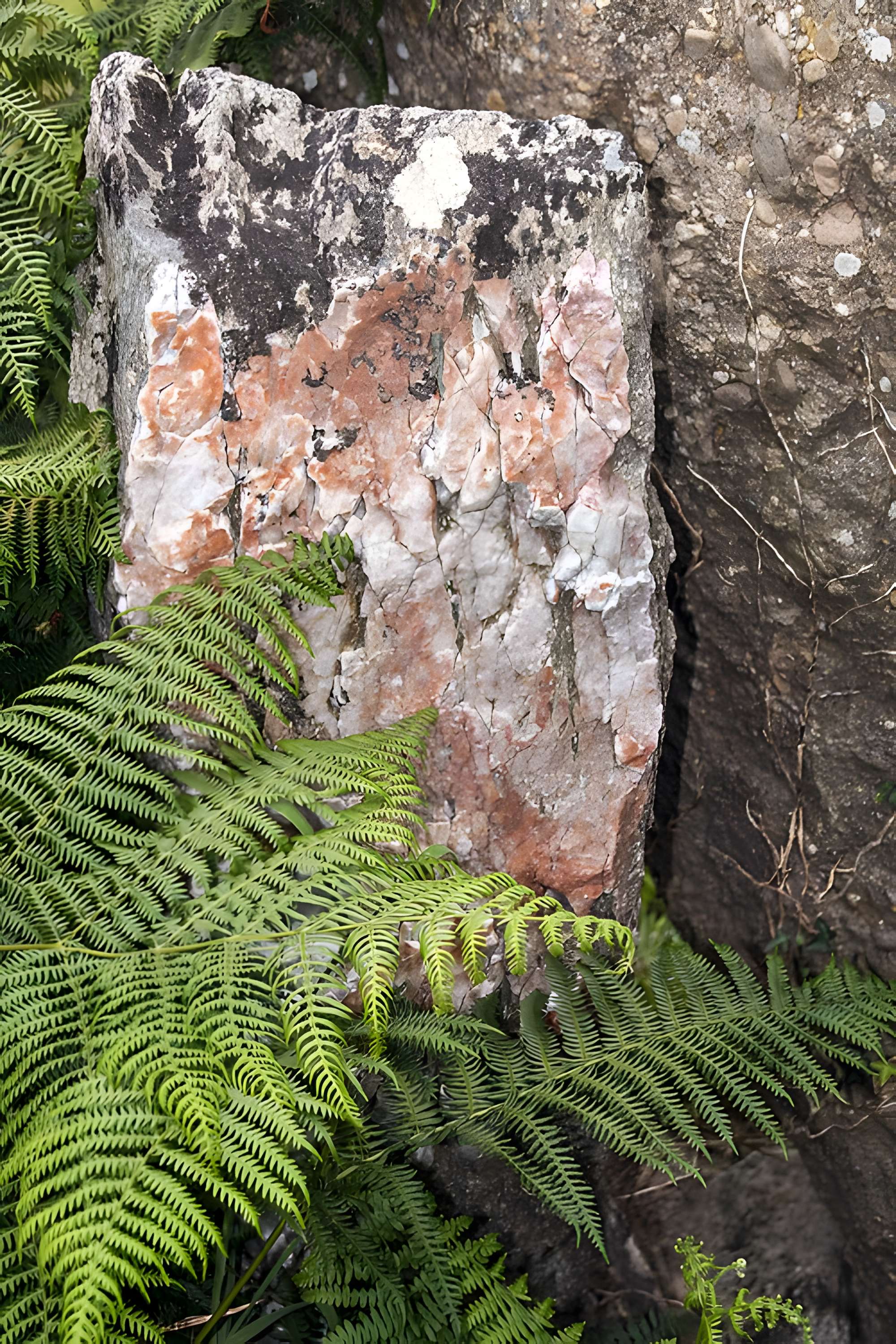 Autel des druides des Moitiers-d'Allonne