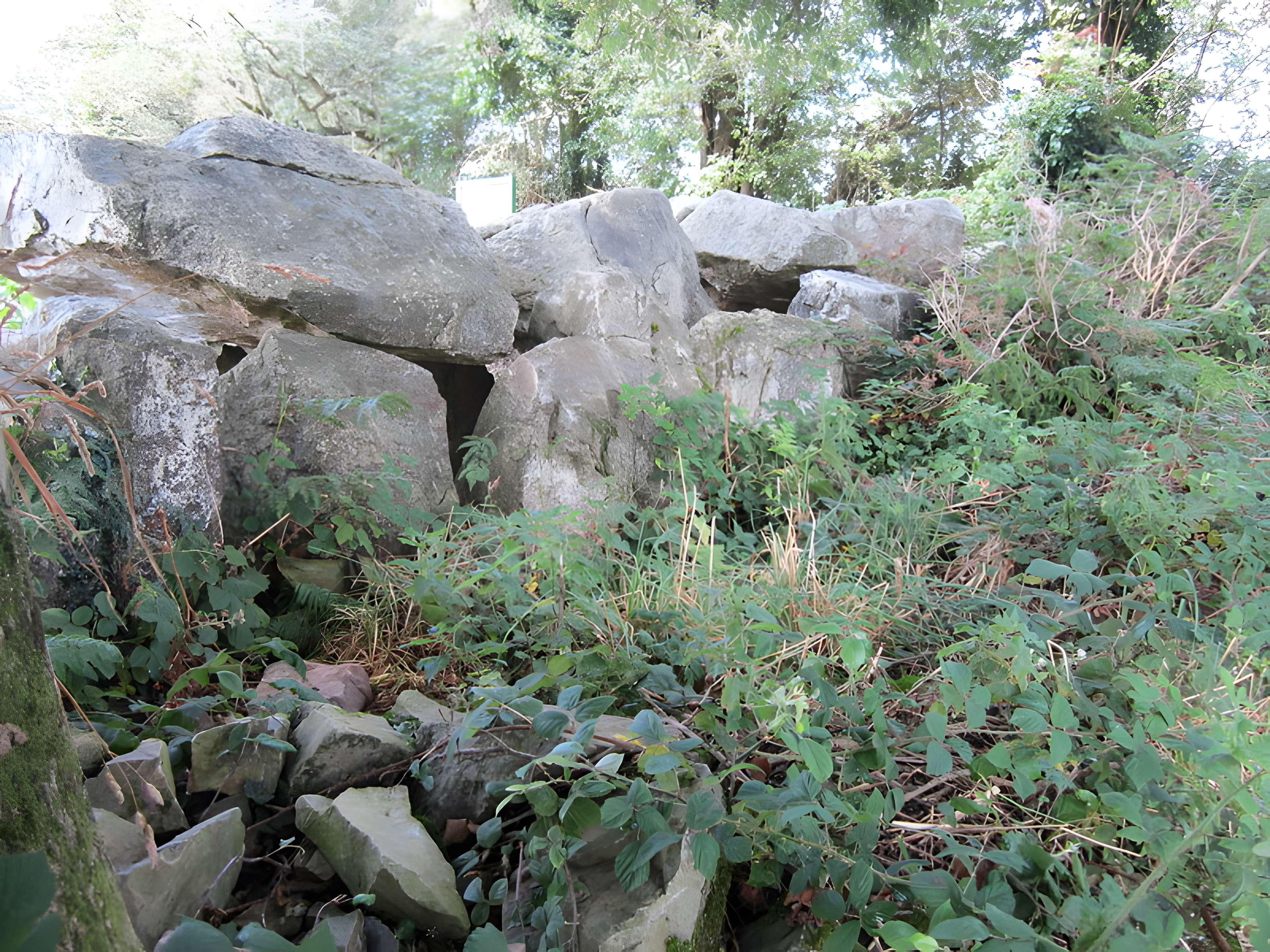 Autel des druides des Moitiers-d'Allonne