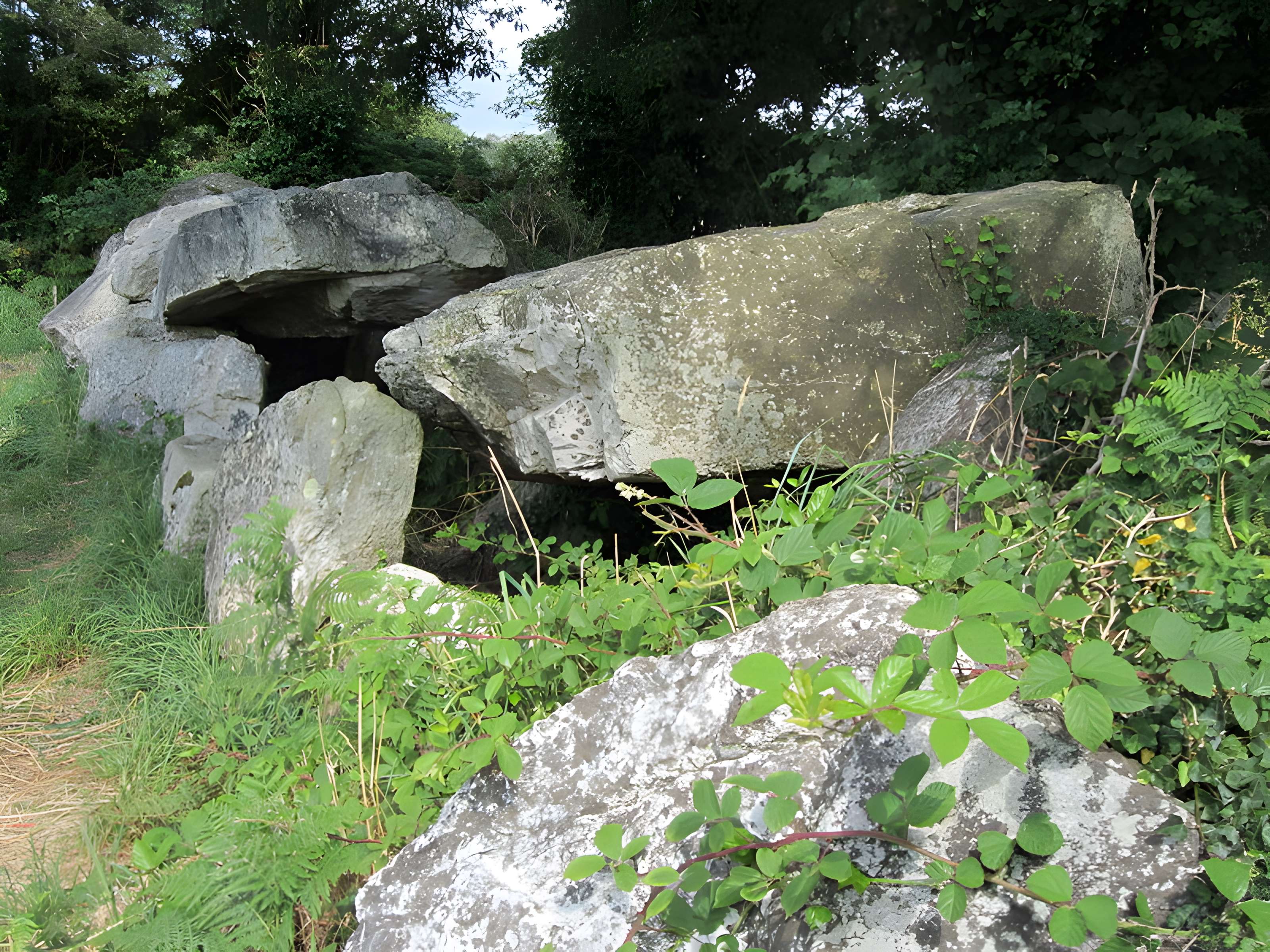 Autel des druides des Moitiers-d'Allonne