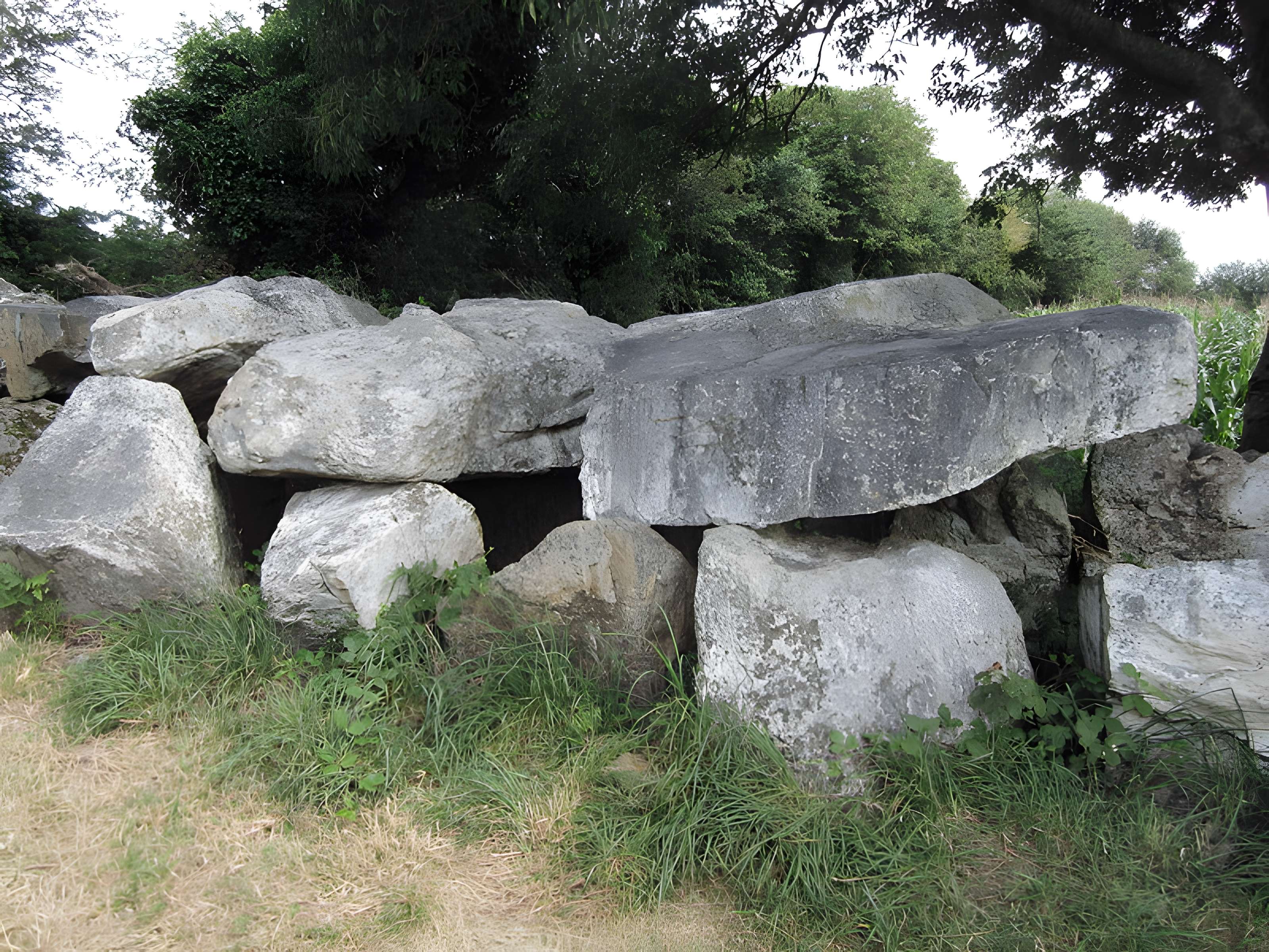 Autel des druides des Moitiers-d'Allonne