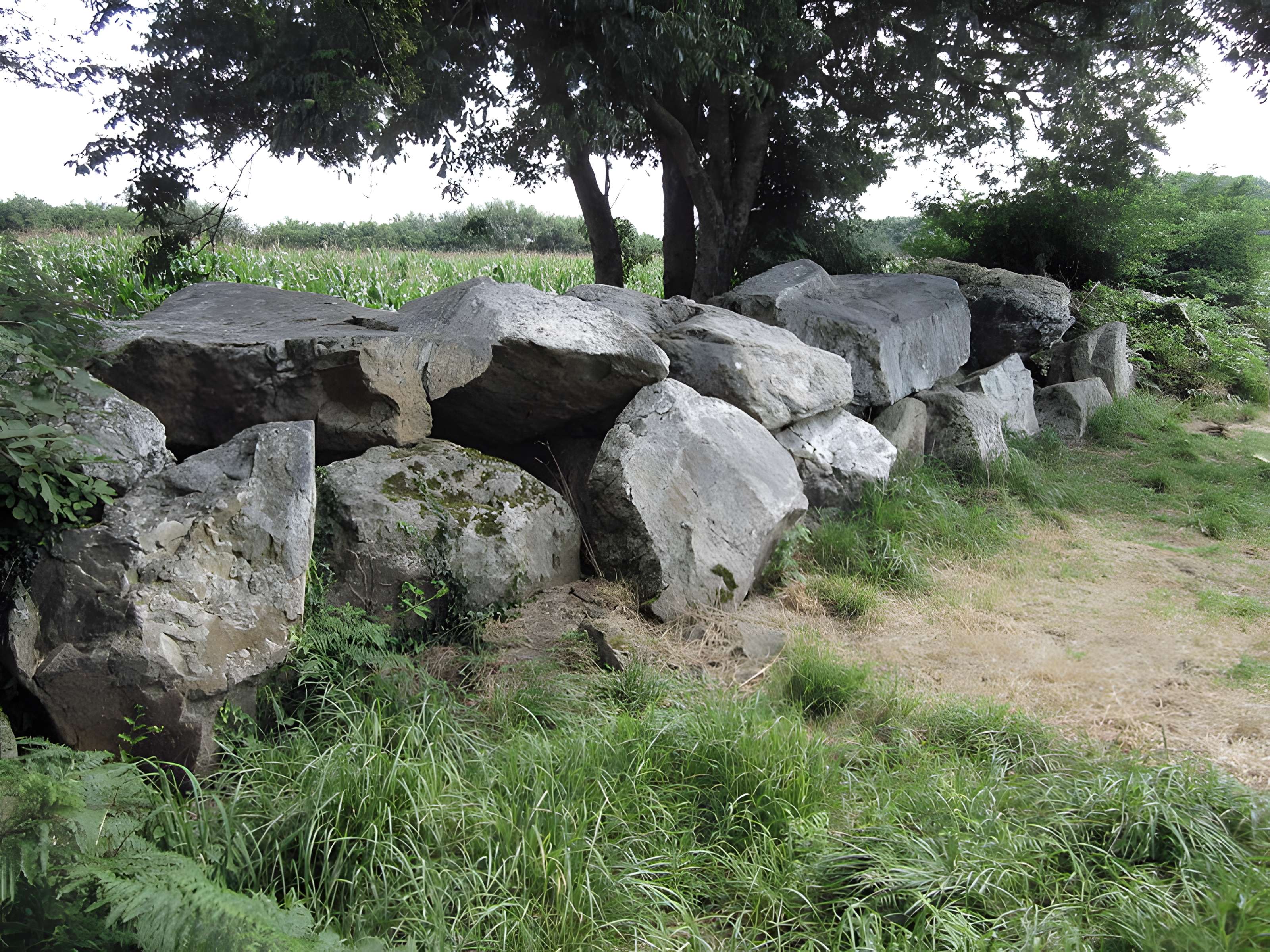 Autel des druides des Moitiers-d'Allonne