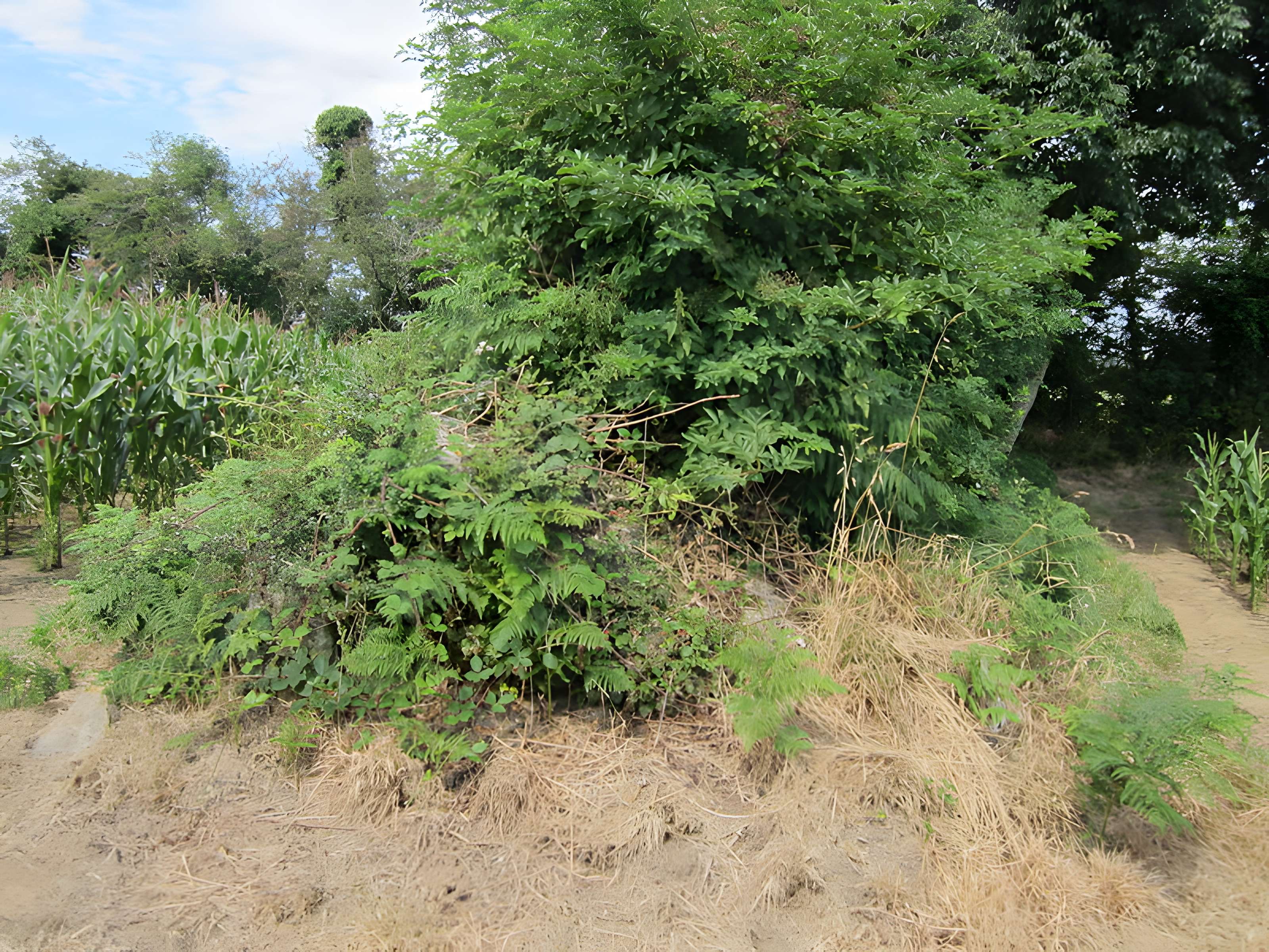 Autel des druides des Moitiers-d'Allonne