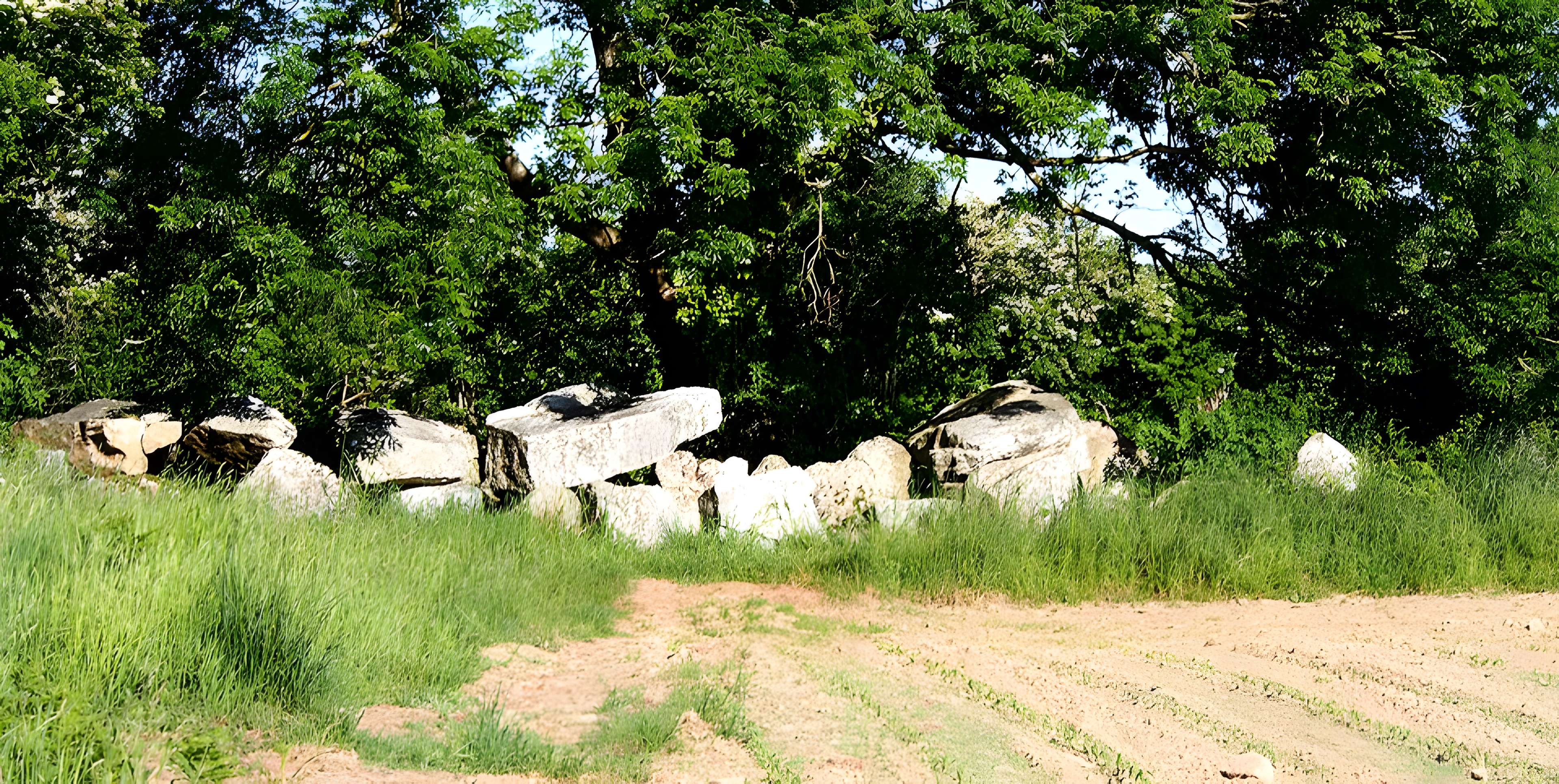 Autel des druides des Moitiers-d'Allonne
