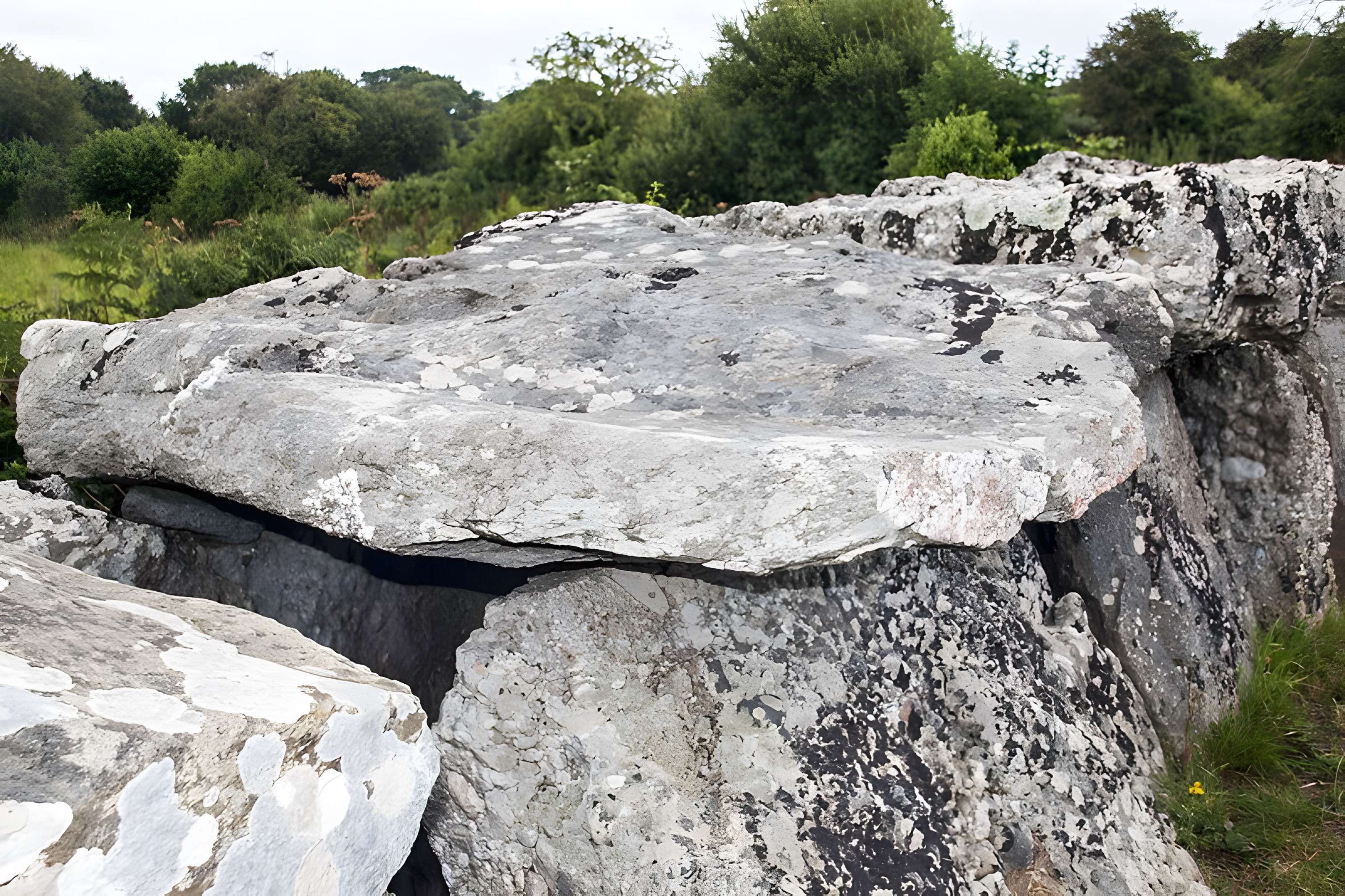 Autel des druides des Moitiers-d'Allonne