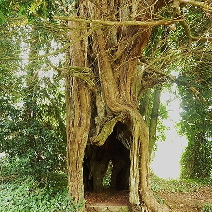 Photo de Église Notre-Dame-de-Lorette de Roudouallec
