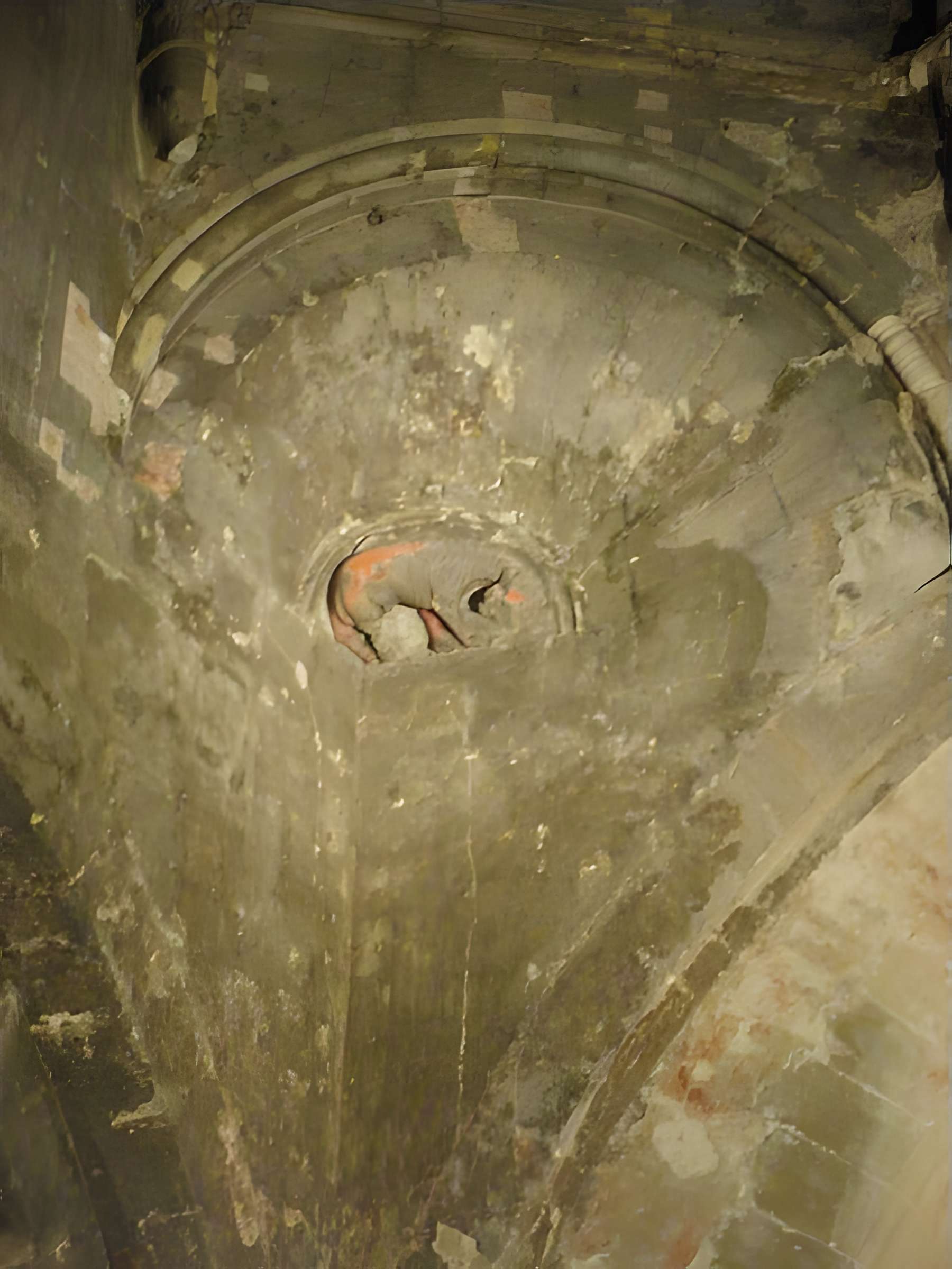 Eglise et le bâtiment (couloir voûté en plein cintre) qui la relie au baptistère