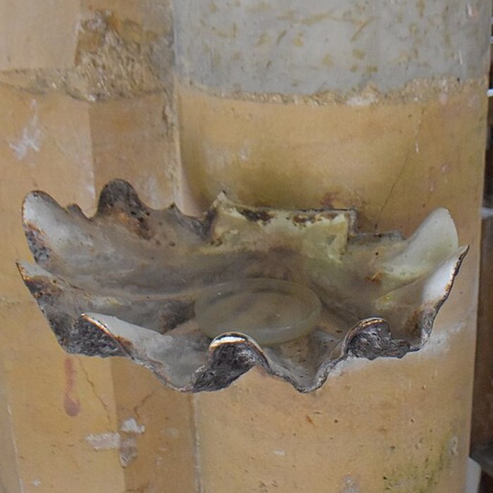 Photo de Église Notre-Dame-en-son-Assomption de Braucourt