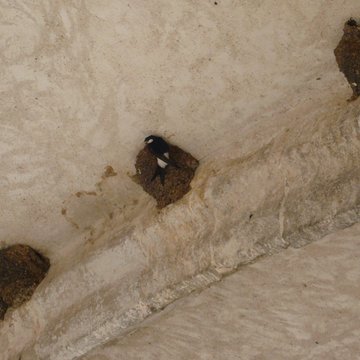 Église Notre-Dame-et-Saint-Laurent de Grez-sur-Loing