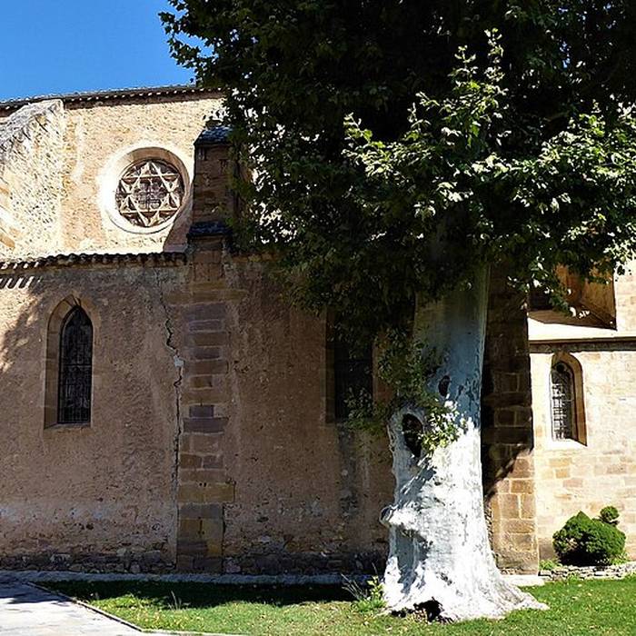 Photo de Église Saint-André dAlet-les-Bains