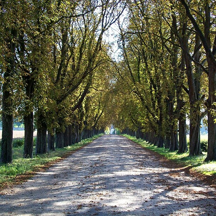 Photo de Abbaye de la Victoire de Senlis