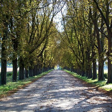 Abbaye de la Victoire de Senlis