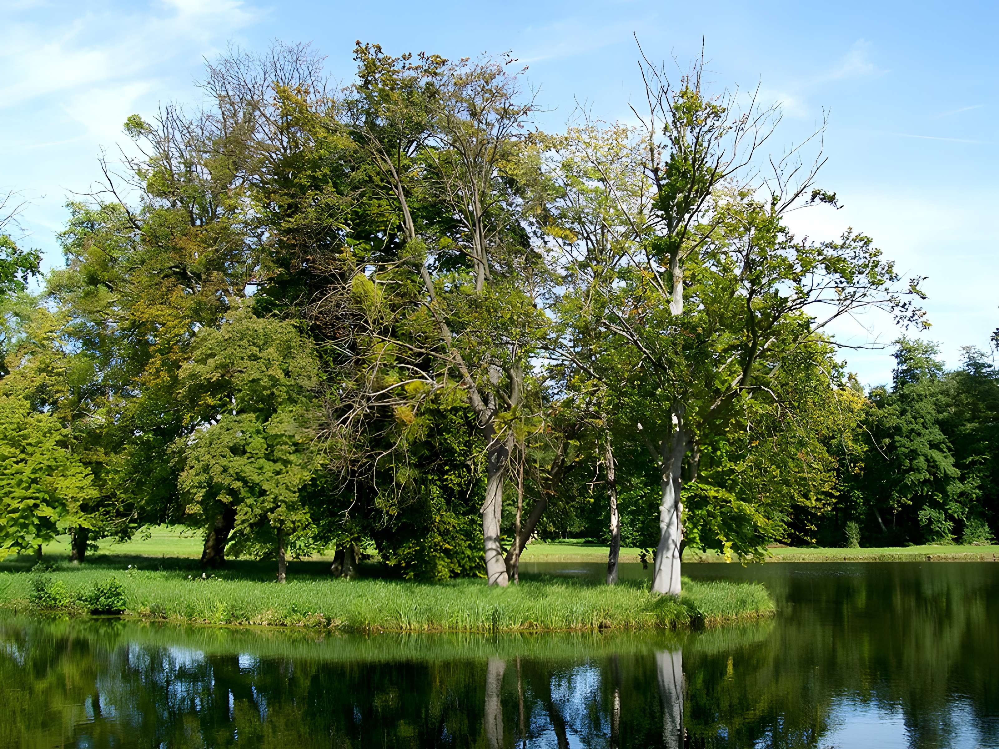 Abbaye de la Victoire de Senlis