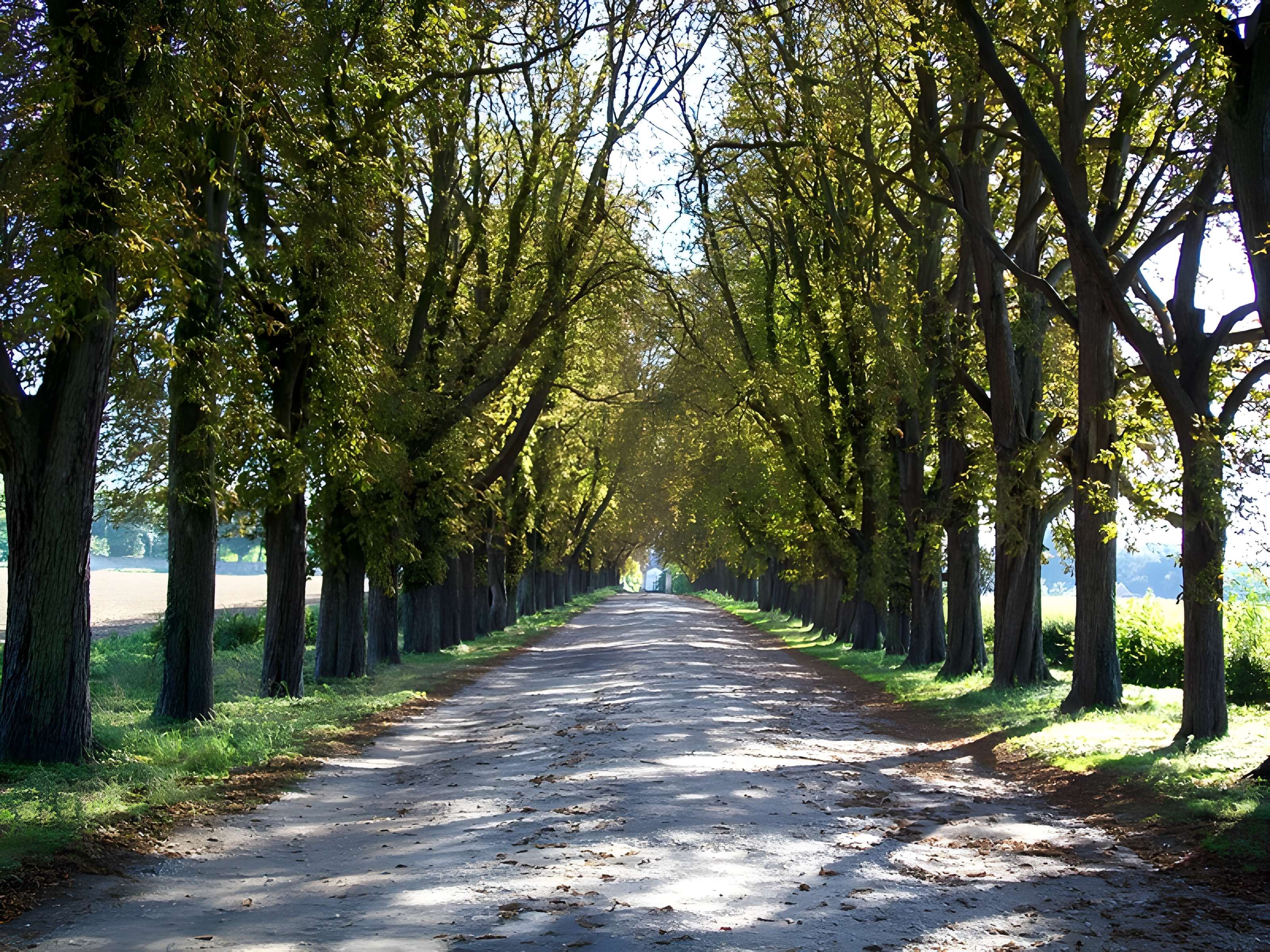 Abbaye de la Victoire de Senlis