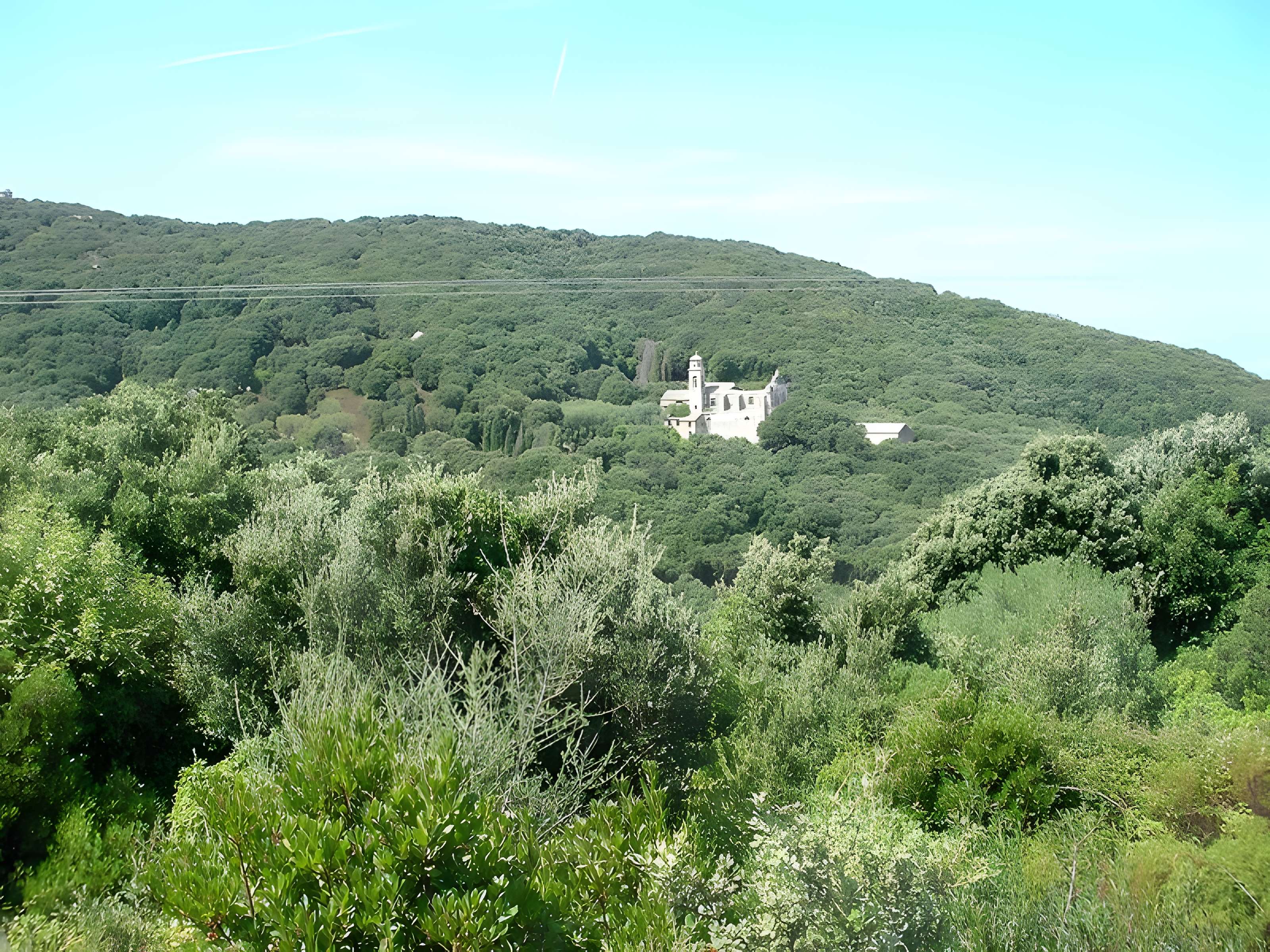 Église Saint-André de Granaggiolo