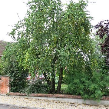 Église Saint-André de Mesnil-Saint-Père