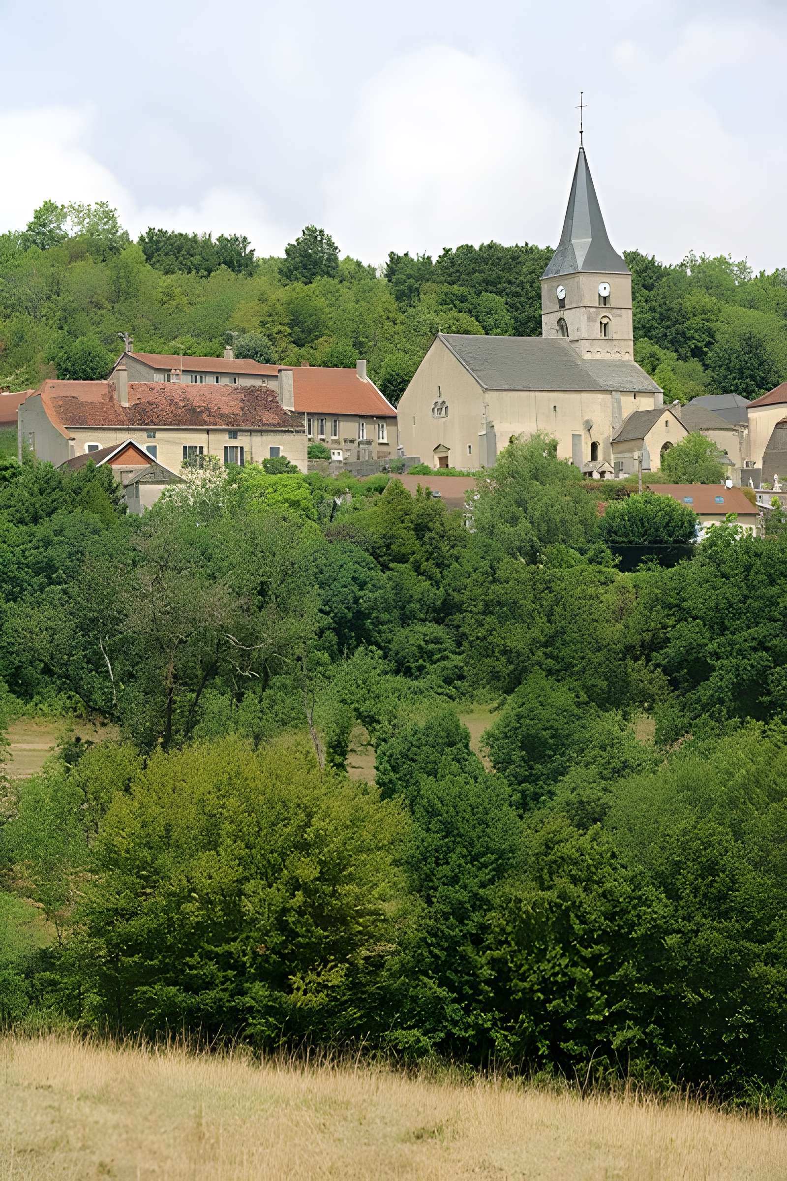 Église Saint-Antonin de Bussy-le-Grand