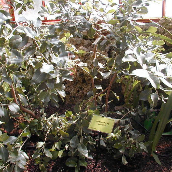 Photo de Bambouseraie de Prafrance à Générac