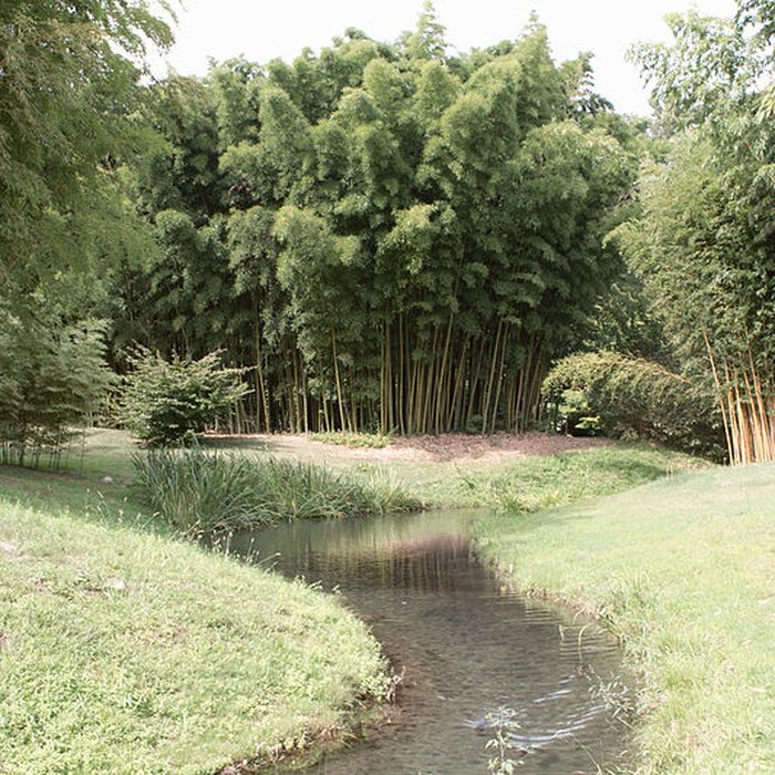 Photo de Bambouseraie de Prafrance à Générac