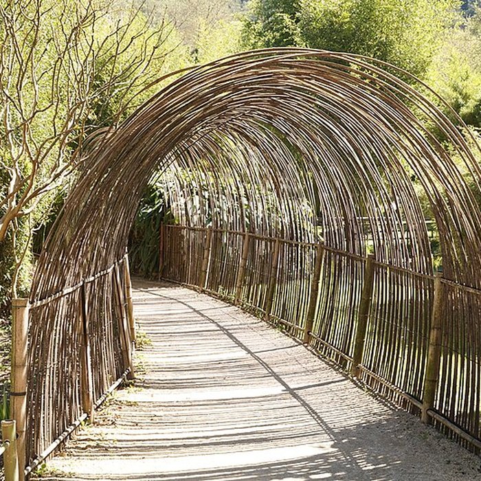 Photo de Bambouseraie de Prafrance à Générac
