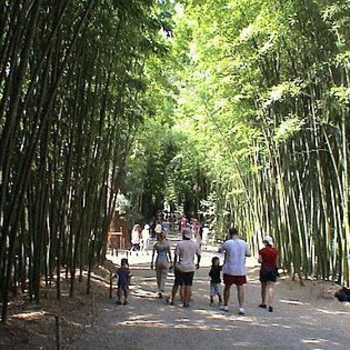 Photo de Bambouseraie de Prafrance à Générac