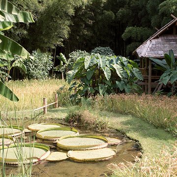 Bambouseraie de Prafrance à Générac
