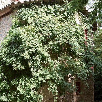 Bambouseraie de Prafrance à Générac