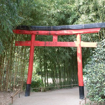 Bambouseraie de Prafrance à Générac