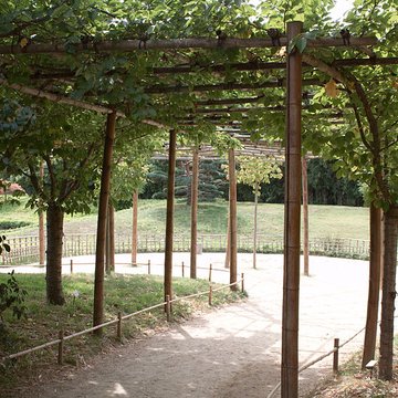 Bambouseraie de Prafrance à Générac