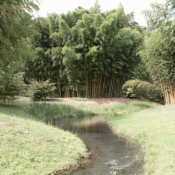 Bambouseraie de Prafrance à Générac