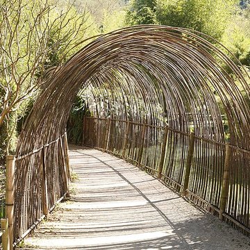 Bambouseraie de Prafrance à Générac