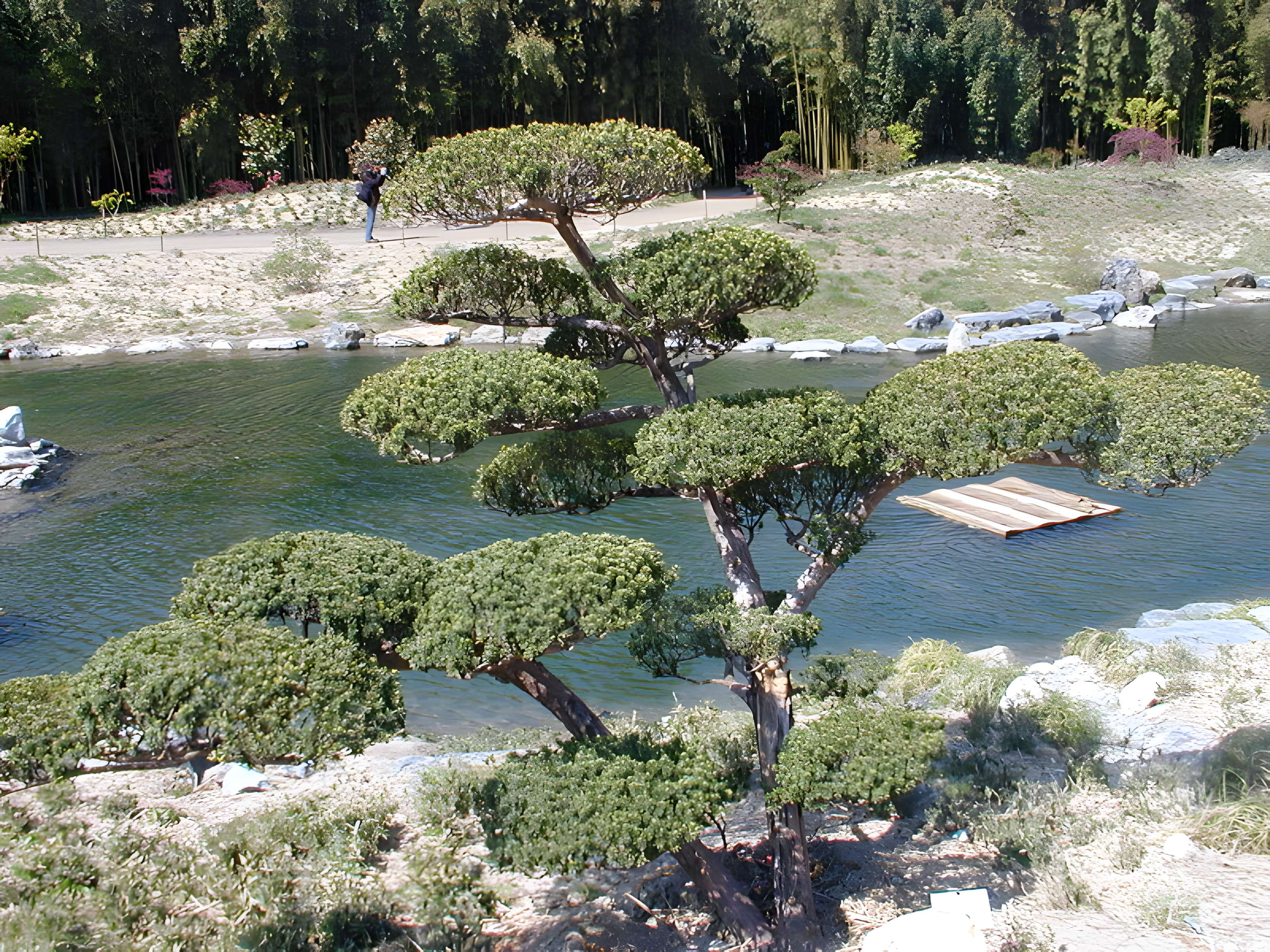 Bambouseraie de Prafrance à Générac