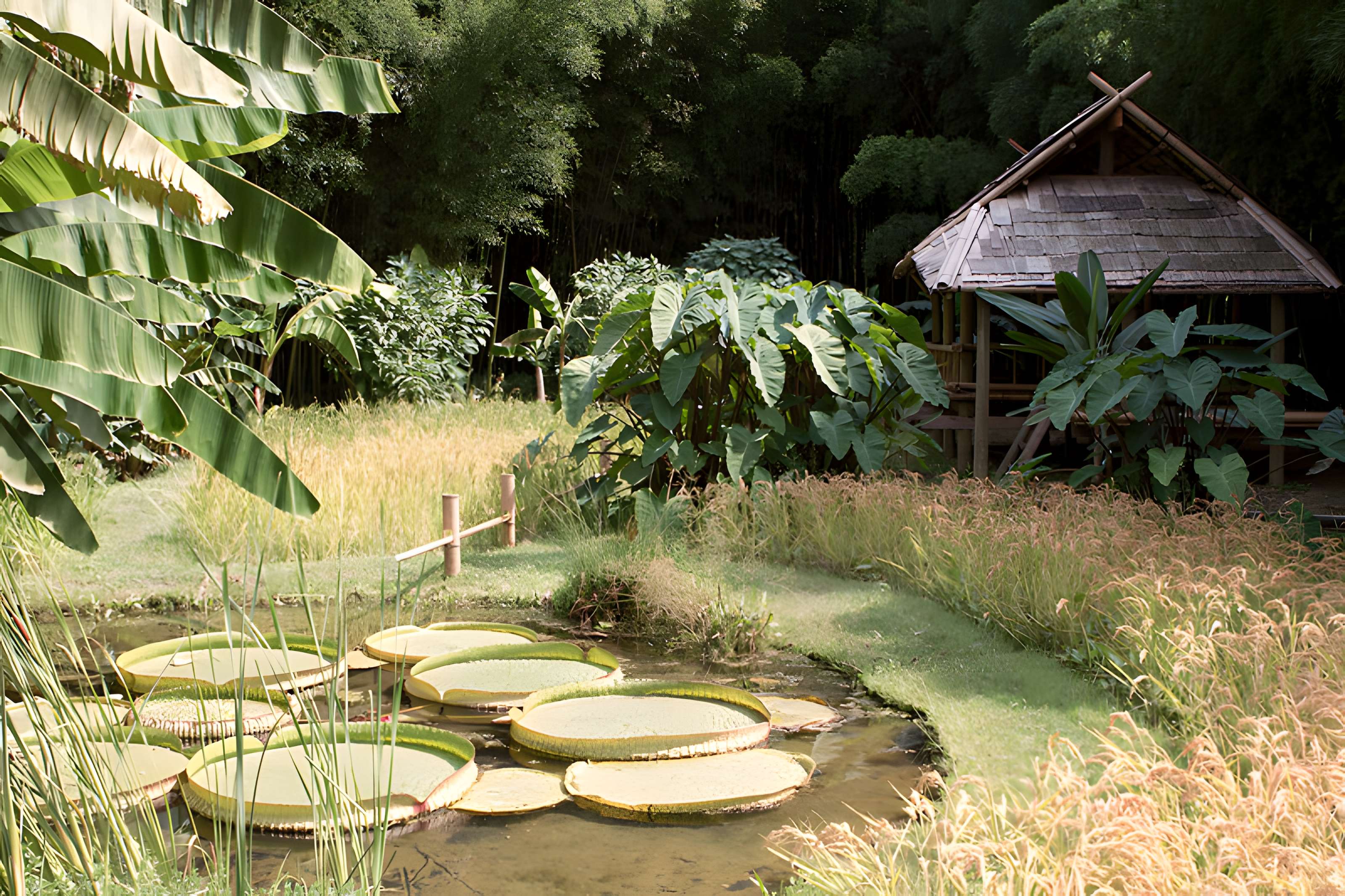 Bambouseraie de Prafrance à Générac
