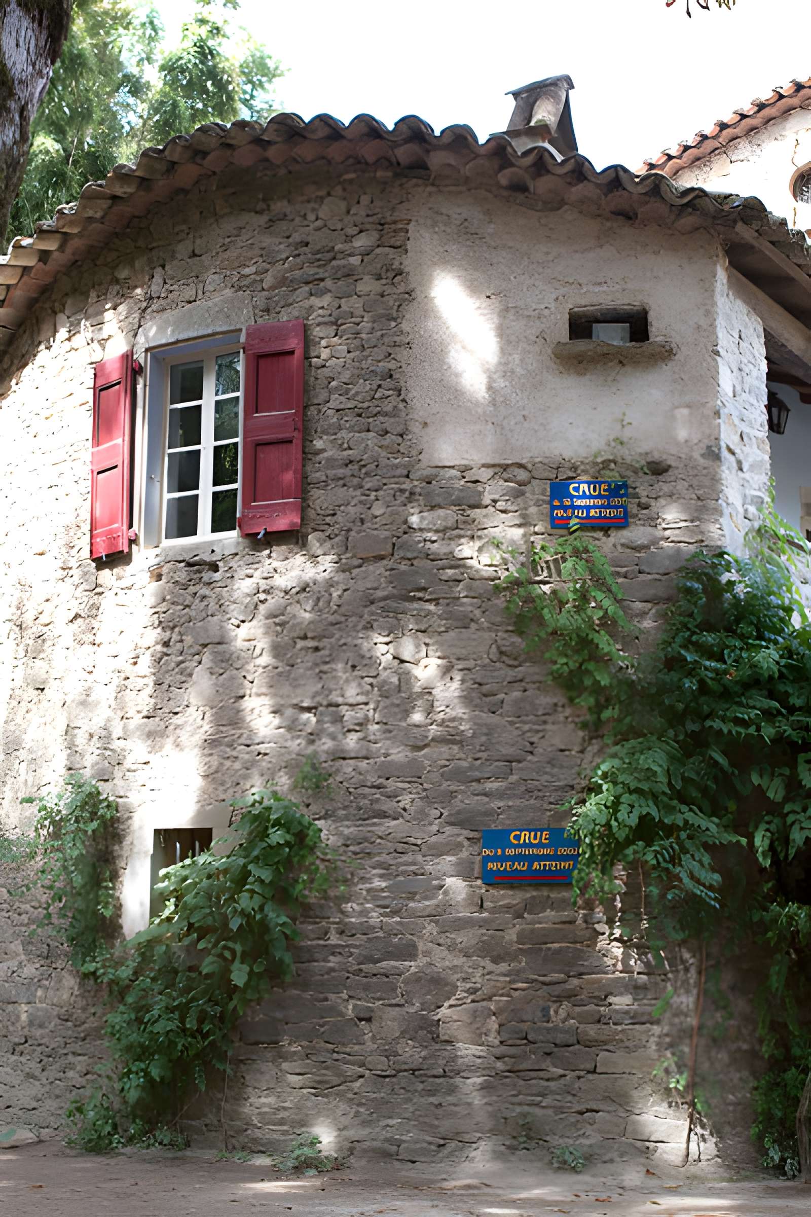 Bambouseraie de Prafrance à Générac
