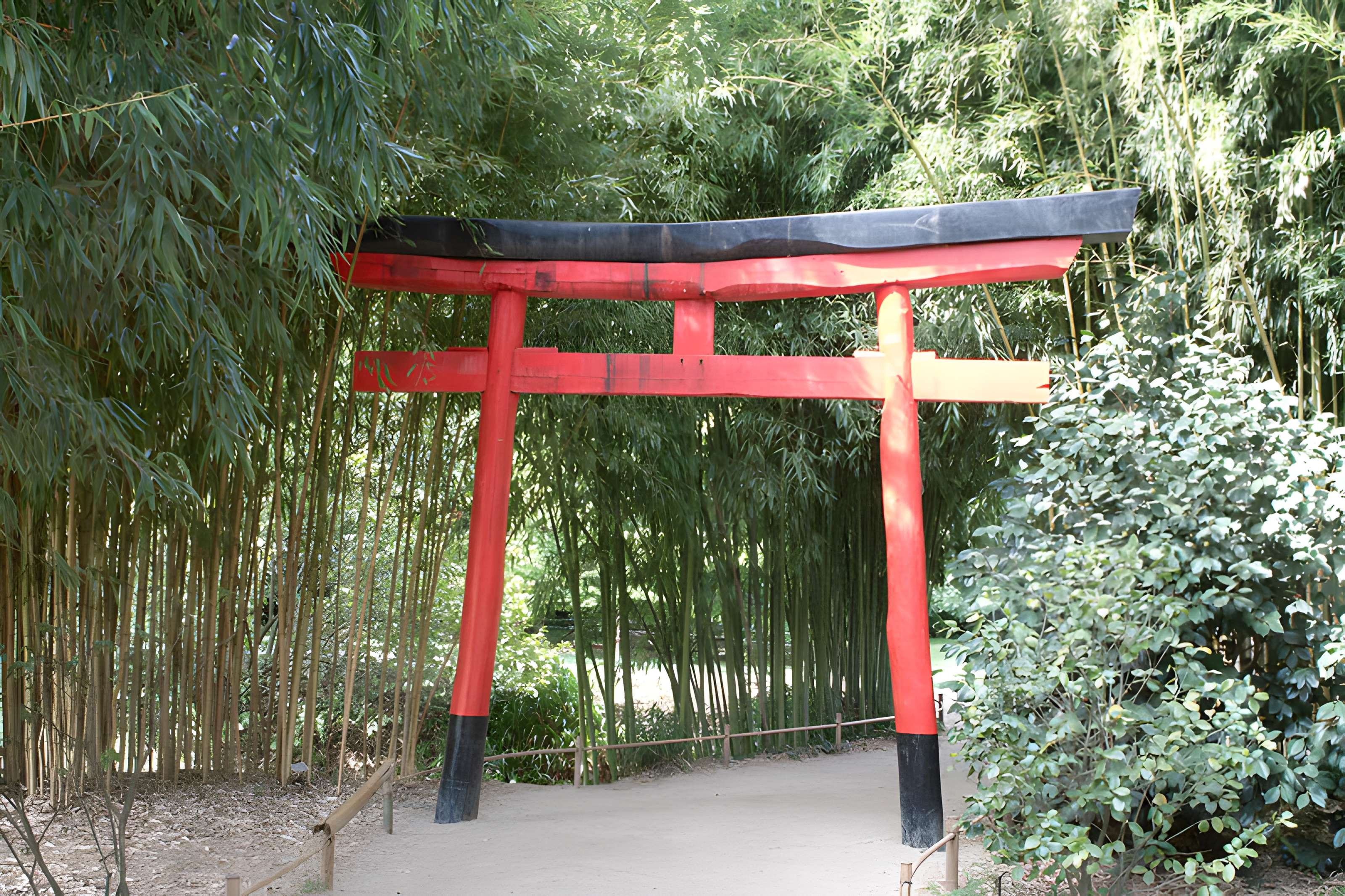 Bambouseraie de Prafrance à Générac