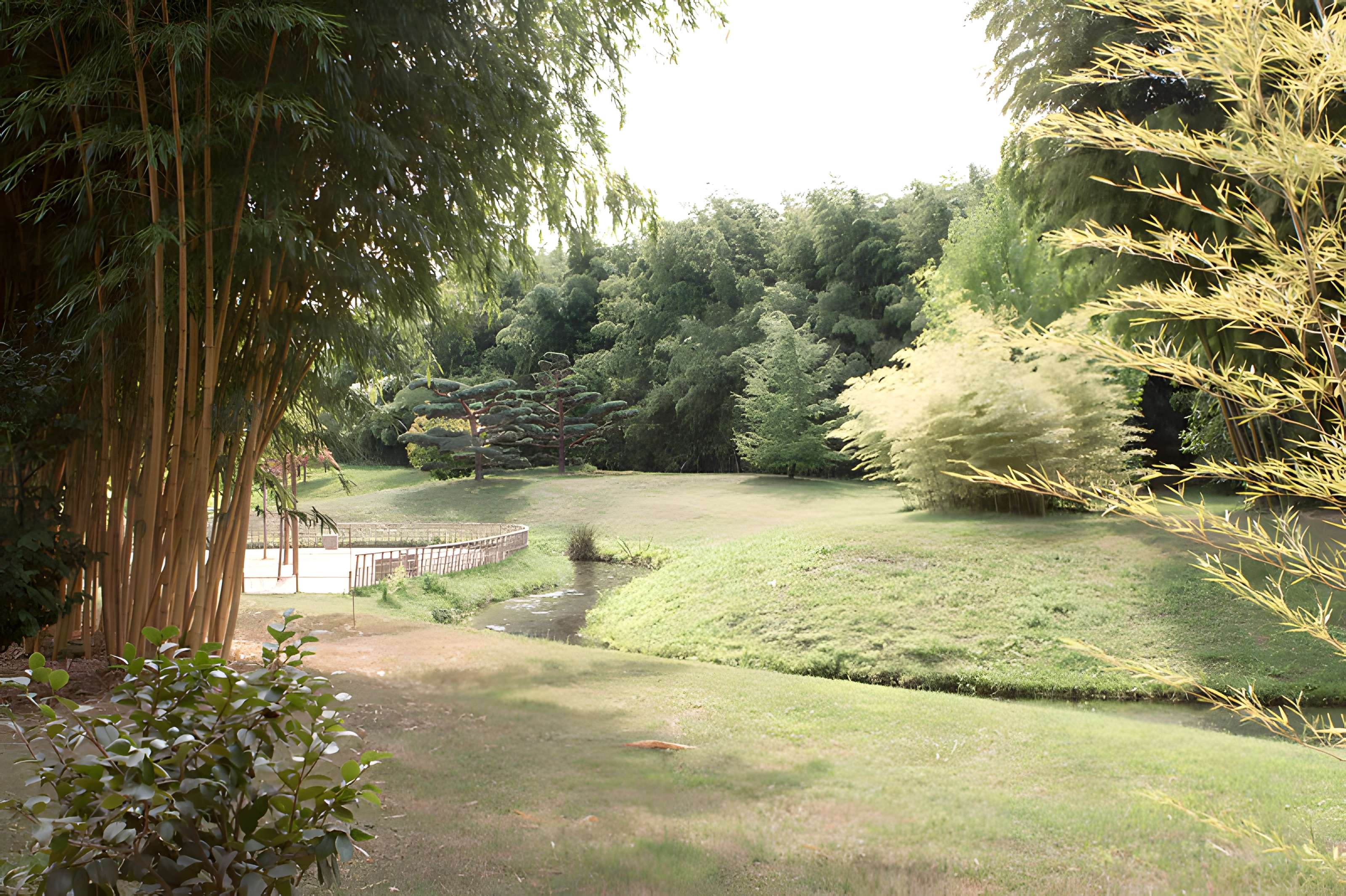 Bambouseraie de Prafrance à Générac