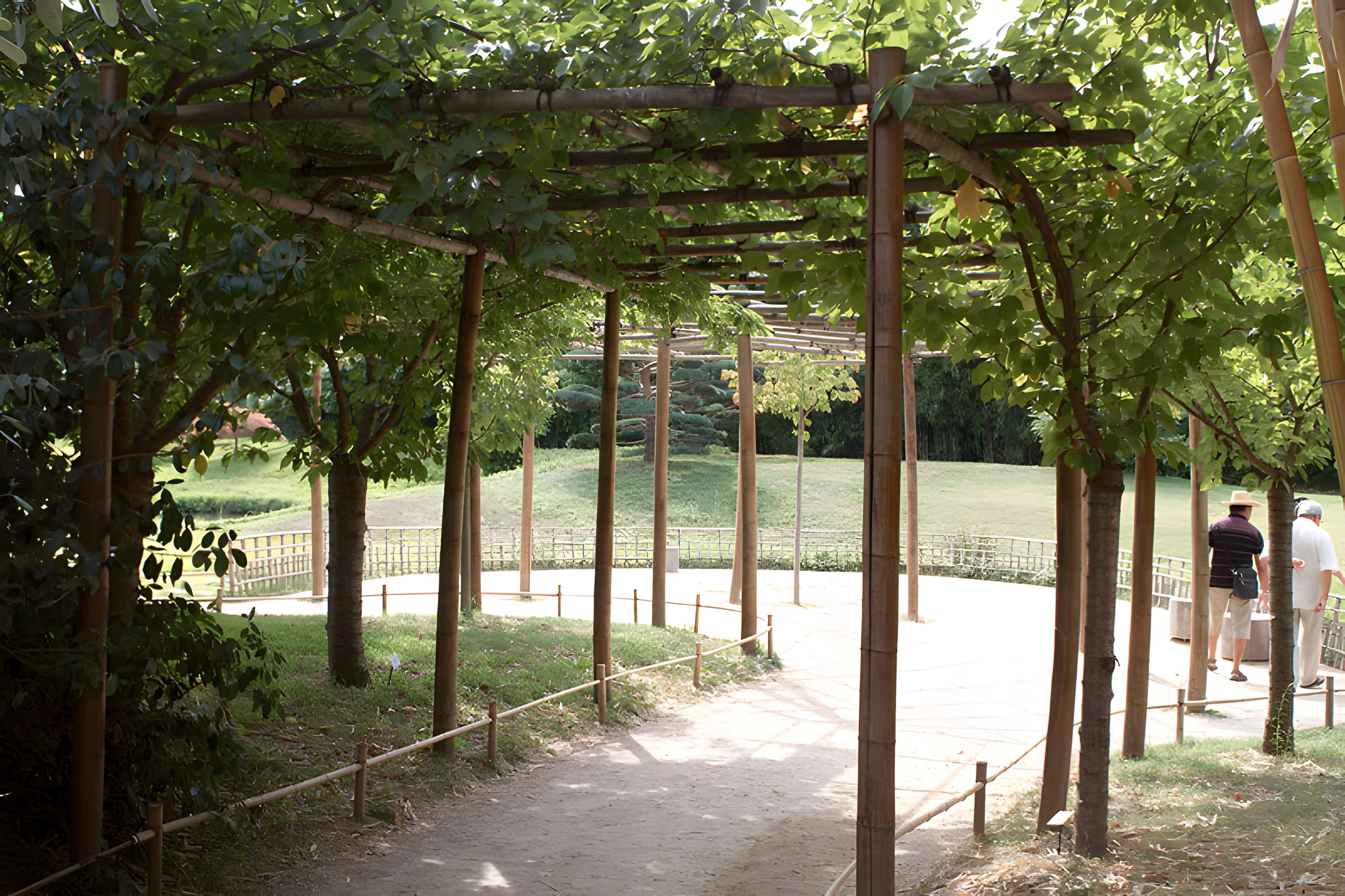 Bambouseraie de Prafrance à Générac