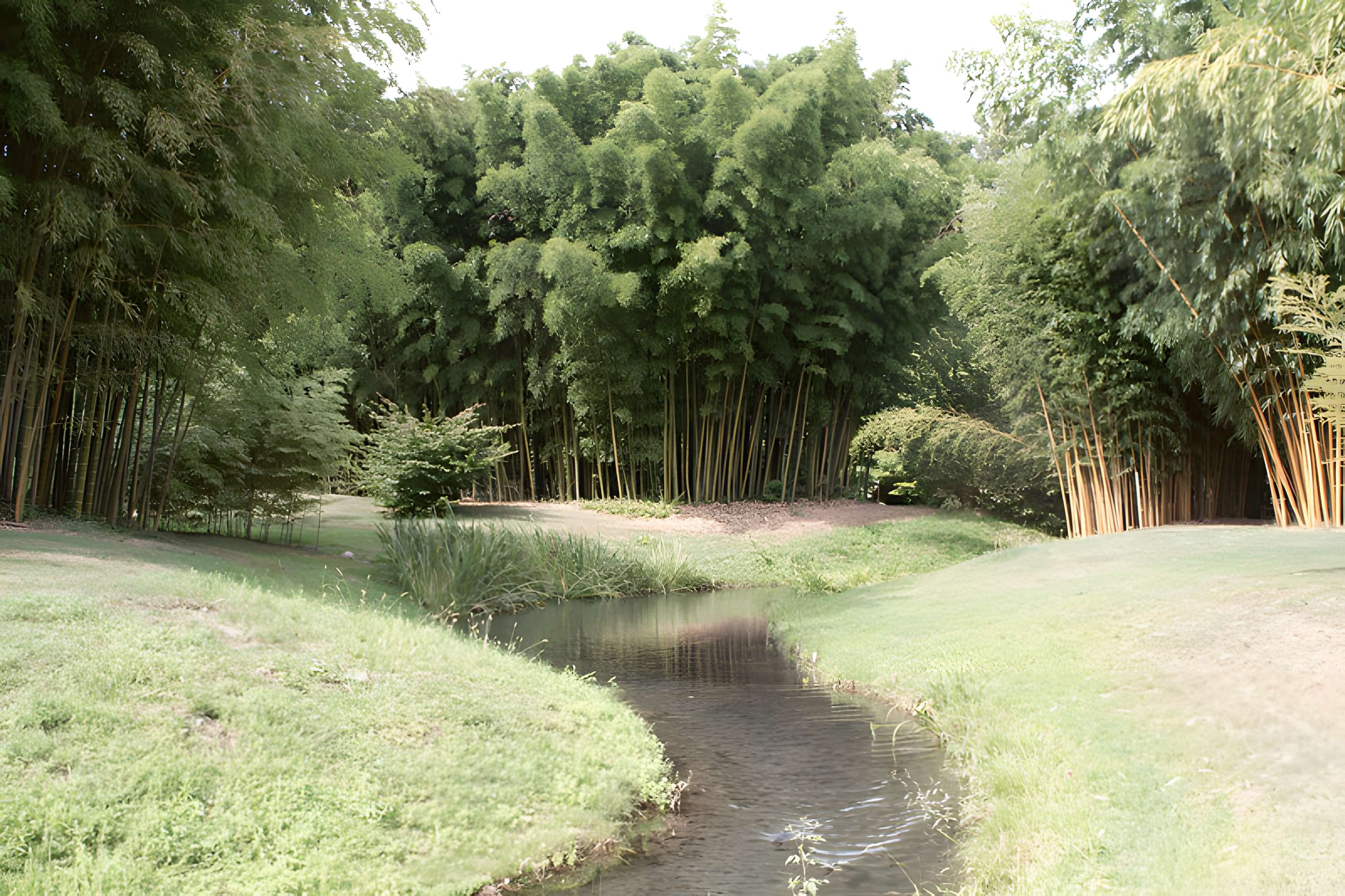 Bambouseraie de Prafrance à Générac