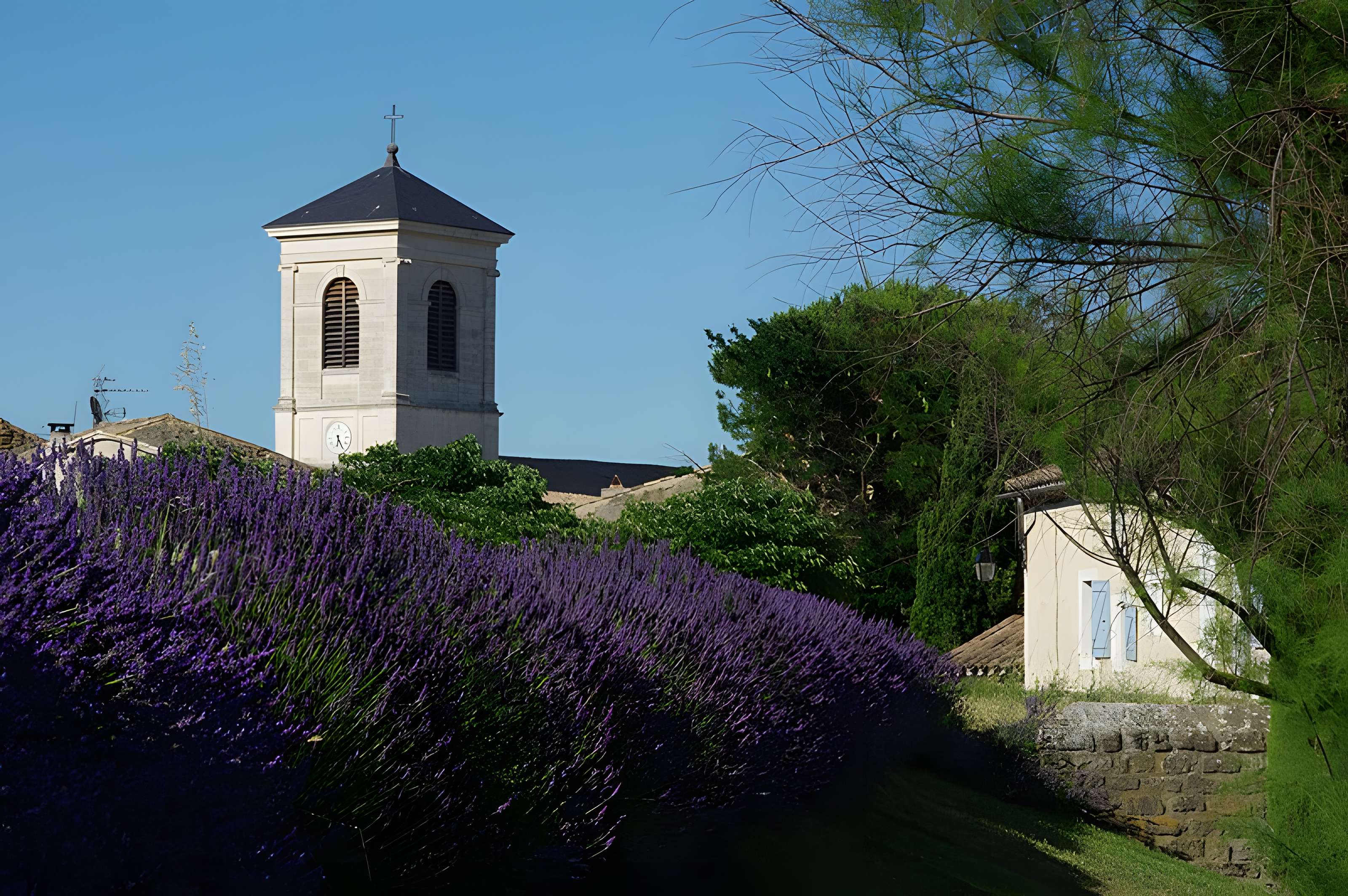 Église Saint-Bach de Suze-la-Rousse