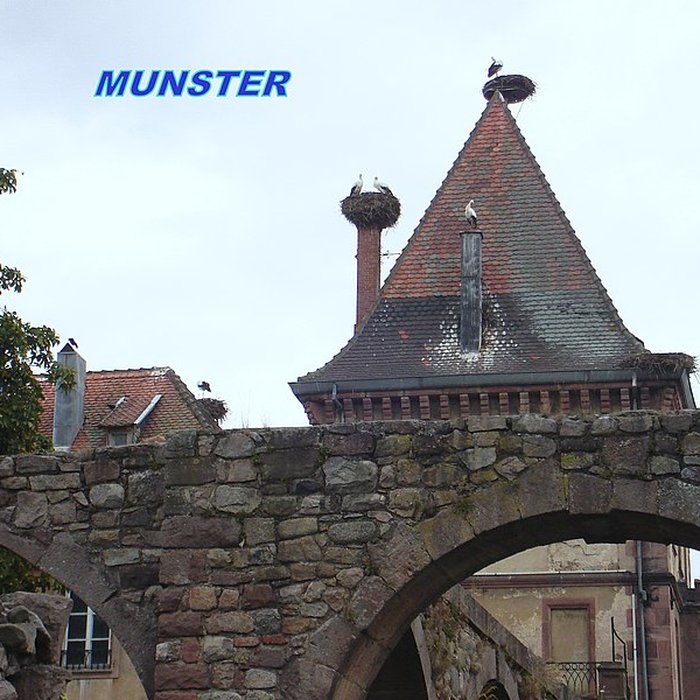Photo de Abbaye de Munster