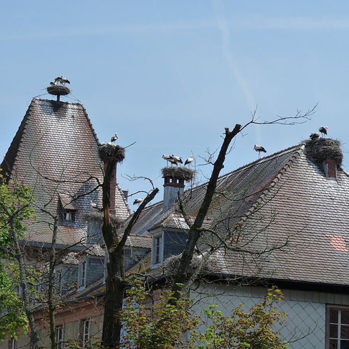 Photo de Abbaye de Munster