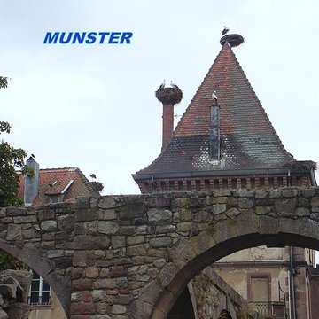 Abbaye de Munster