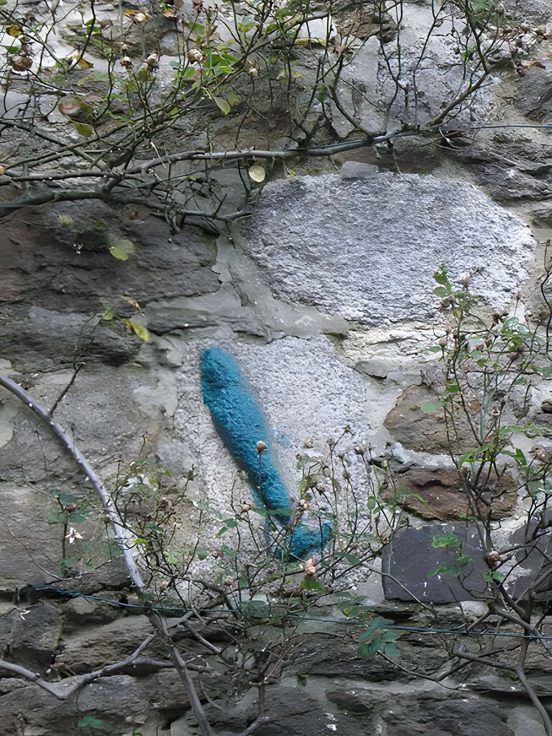 Église Saint-Briac de Saint-Briac-sur-Mer
