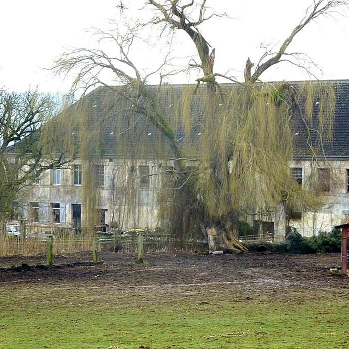 Photo de Abbaye de Rangéval
