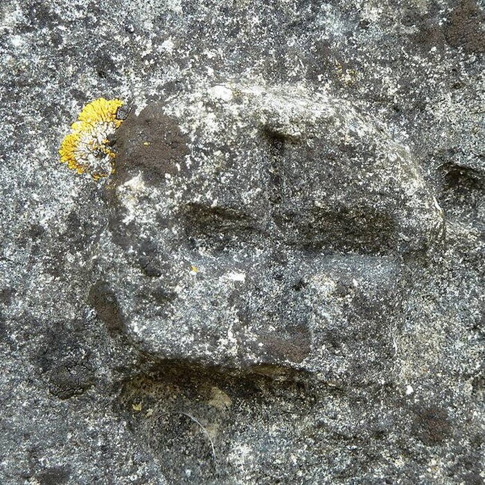 Photo de Abbaye de Rangéval