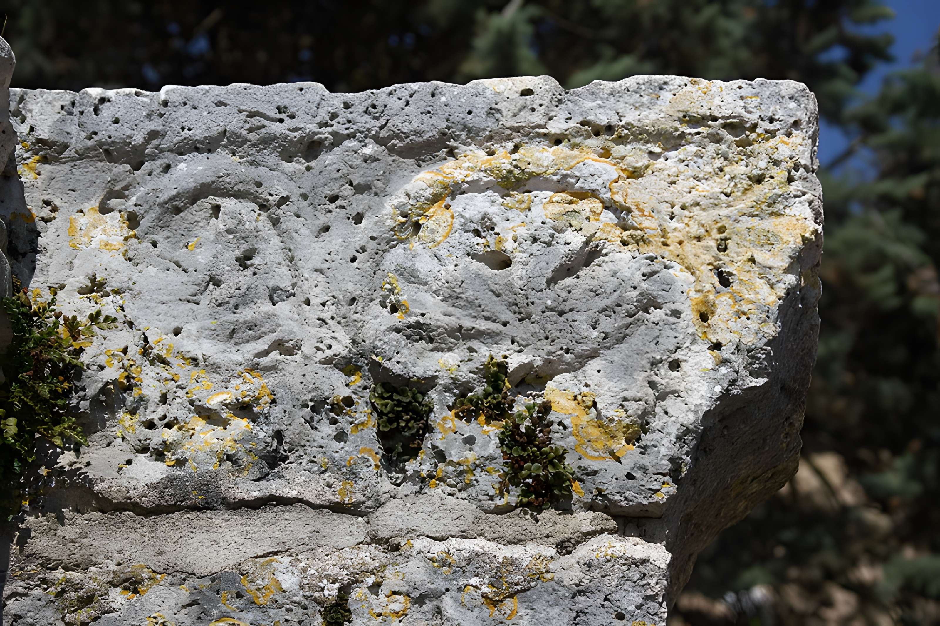 Église Saint-Clair-Saint-Léger de Souppes-sur-Loing